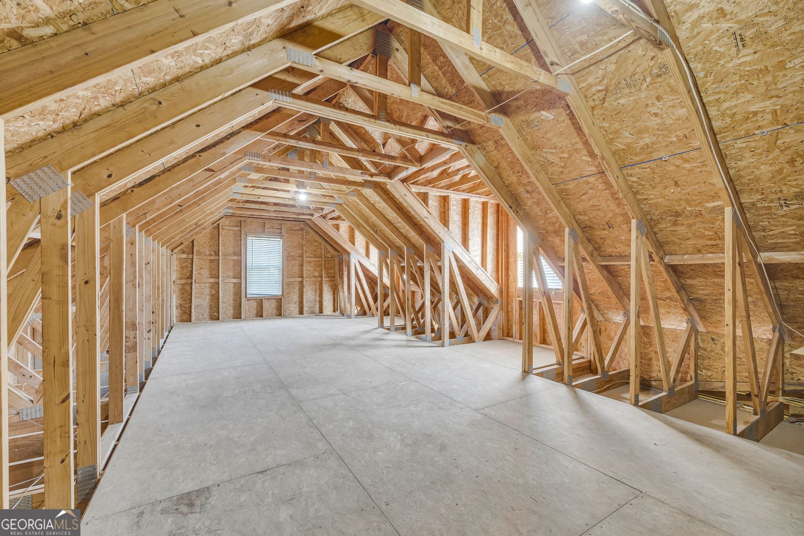 123 Berry Hill Lane Hoschton - Photo 30