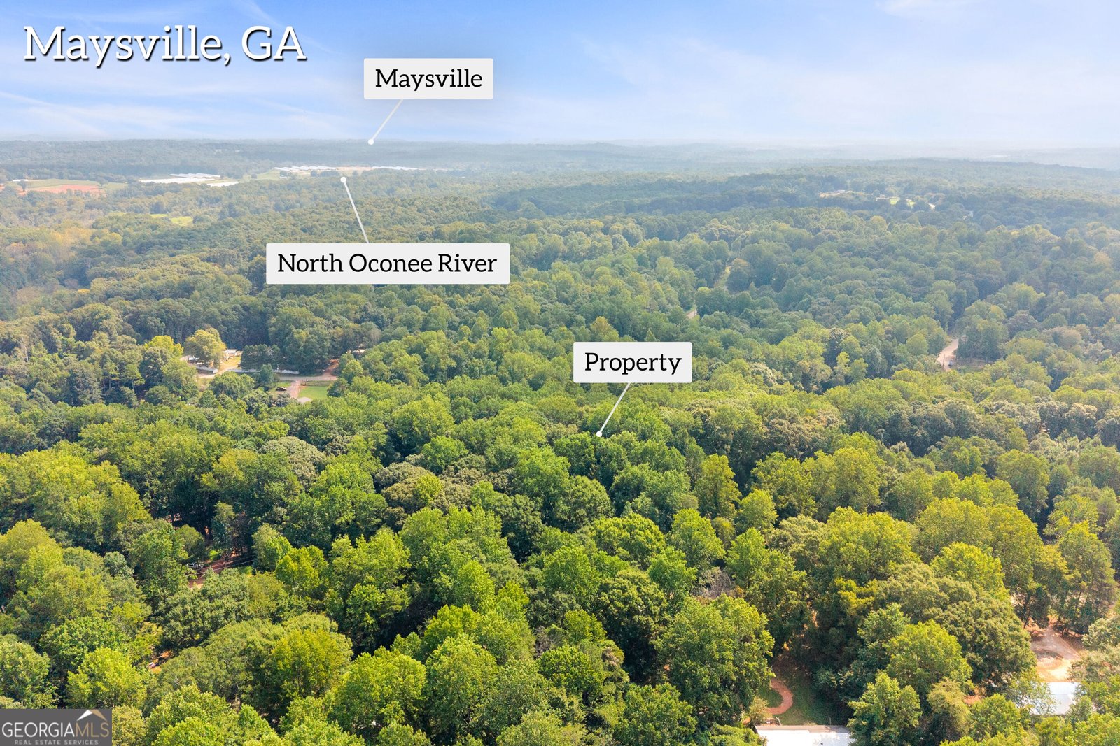 123 Berry Hill Lane Hoschton - Photo 40