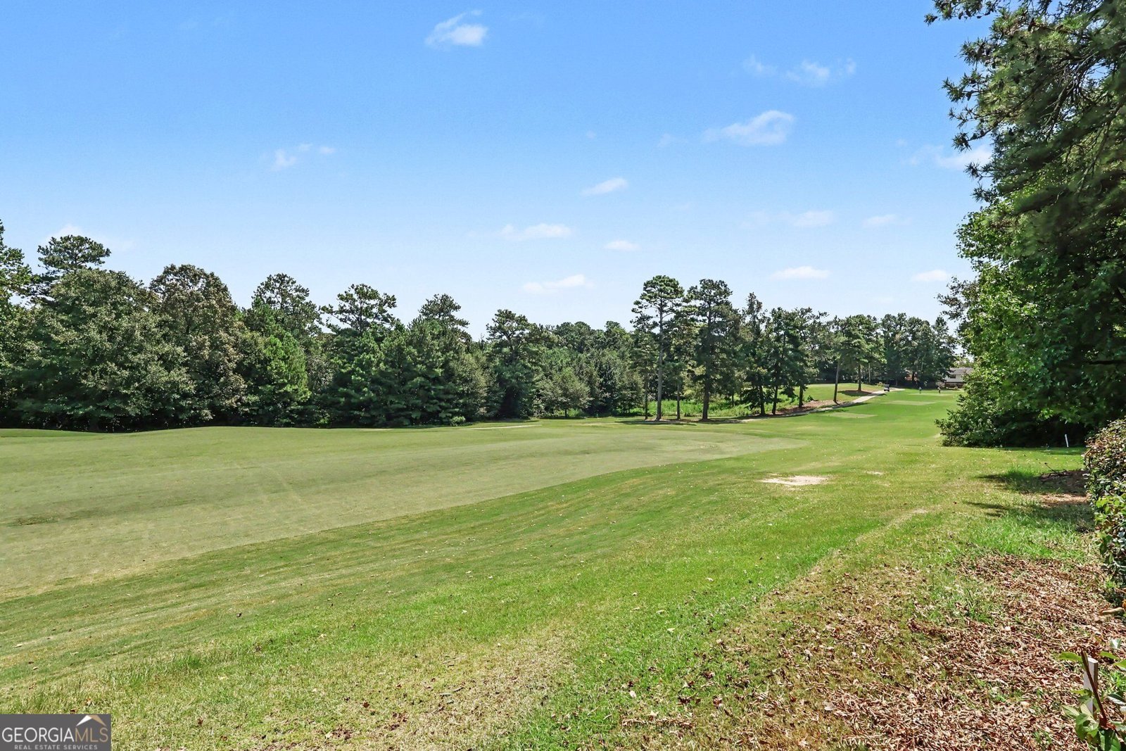 8922 Western Pines Drive Douglasville - Photo 33
