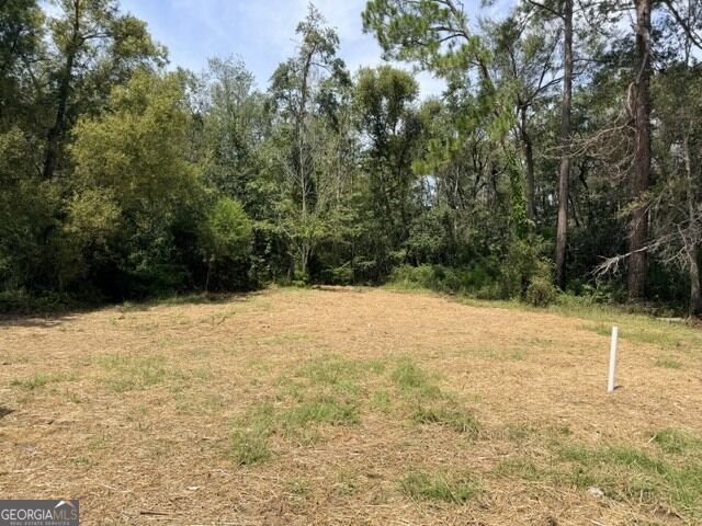 81 Daphney Lane Statesboro - Photo 12