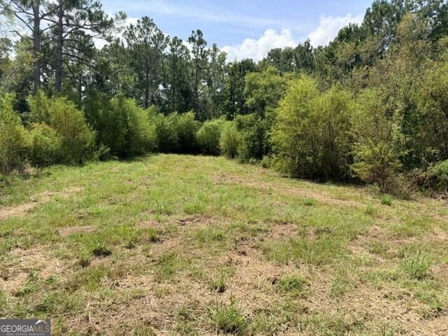 81 Daphney Lane Statesboro - Photo 13