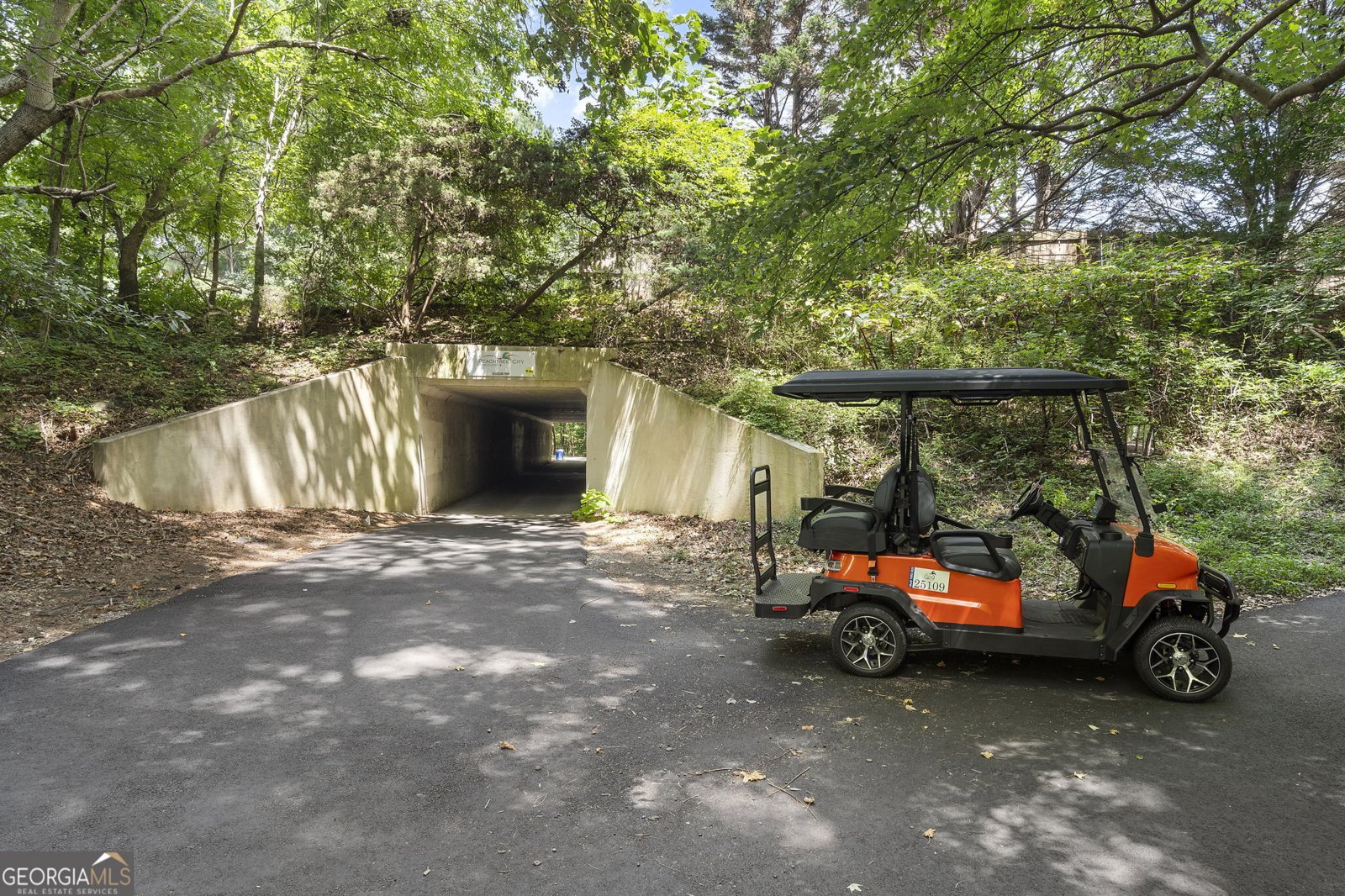 707 Las Brasis Court Peachtree City - Photo 30