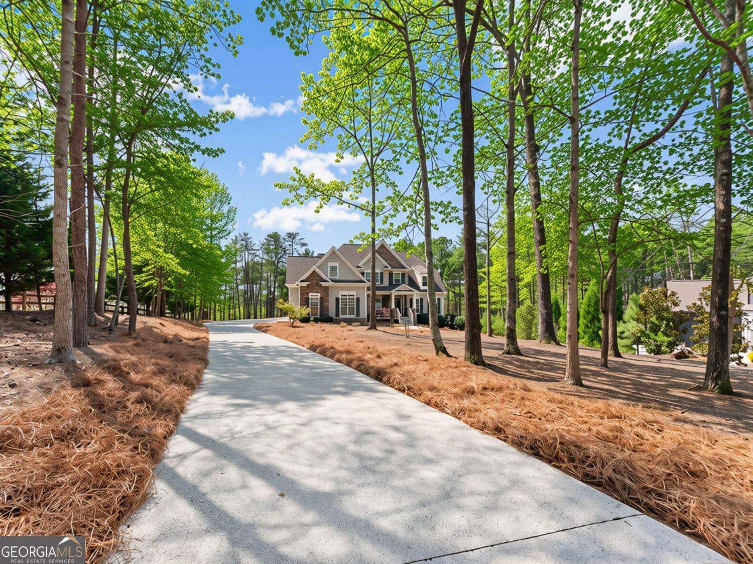 267 Chestnut Oak Lane Dawsonville - Photo 35