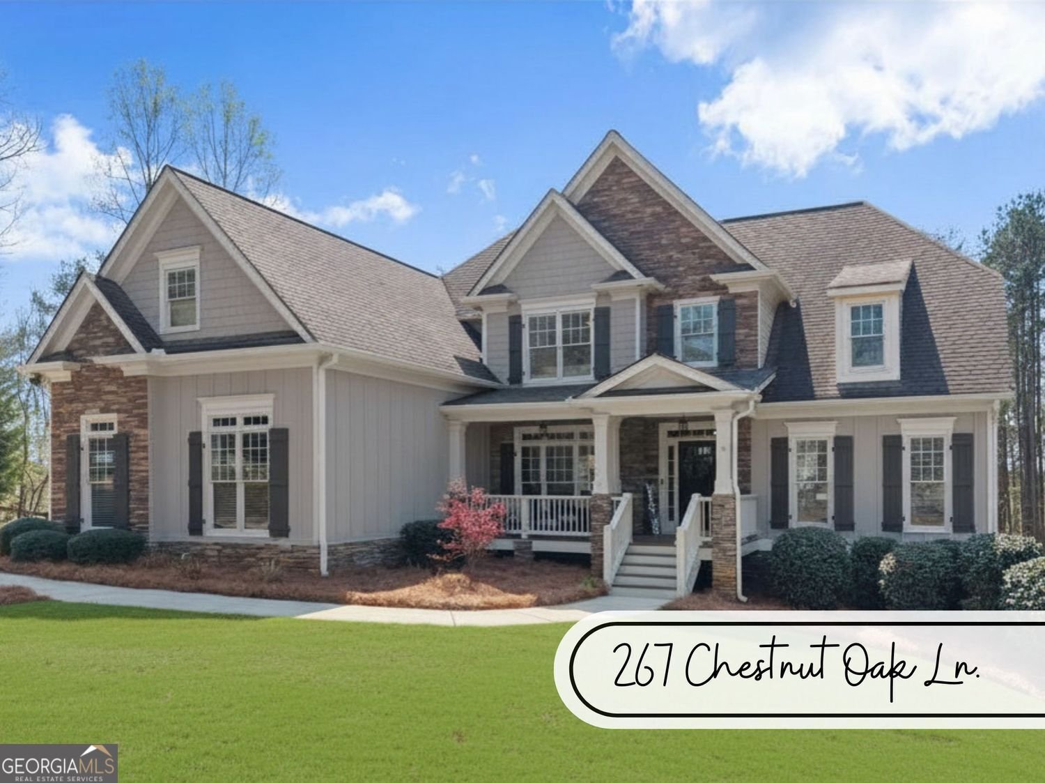 267 Chestnut Oak Lane Dawsonville - Photo 42