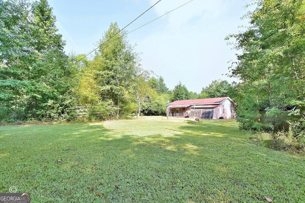 10216 Highway 0315 Cataula - Photo 15
