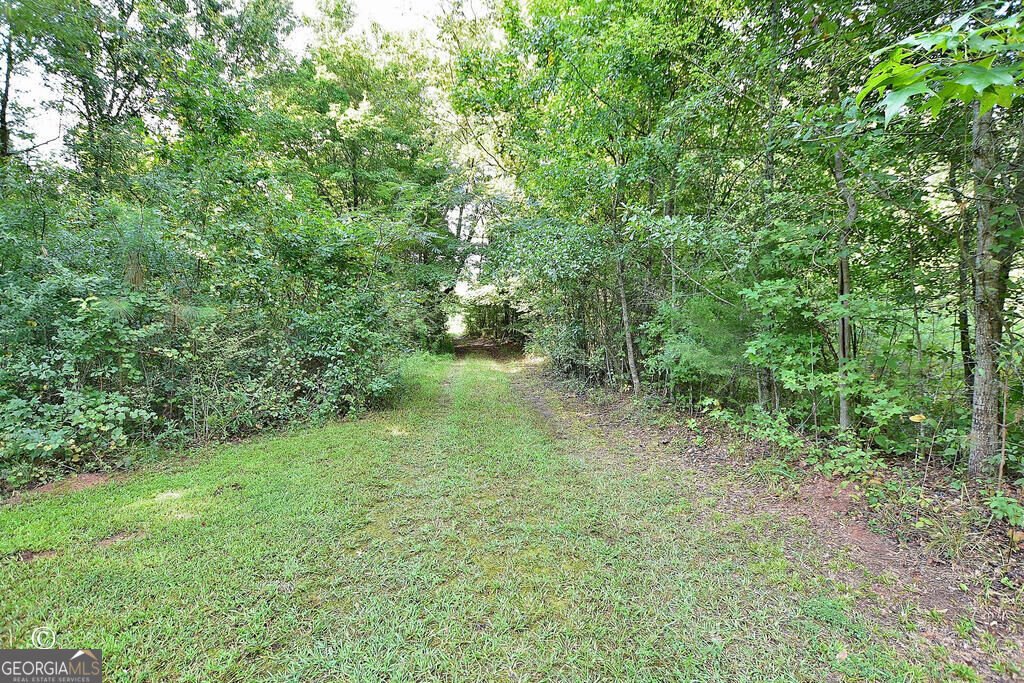 10216 Highway 0315 Cataula - Photo 16