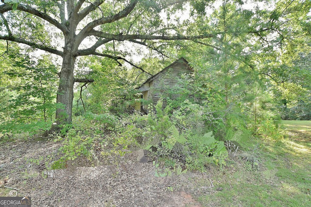 10216 Highway 0315 Cataula - Photo 17