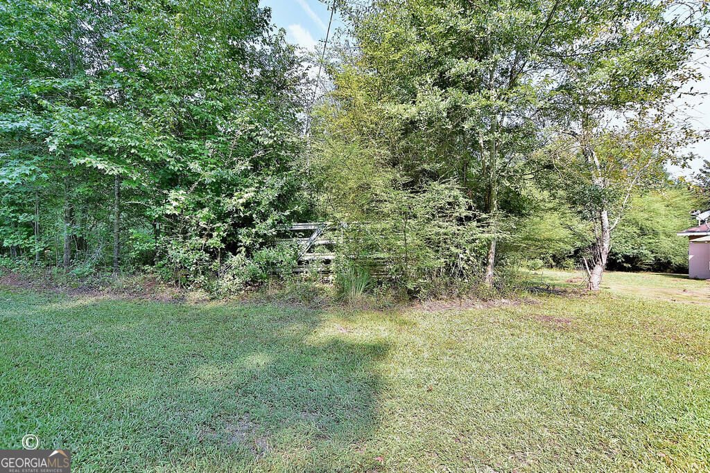 10216 Highway 0315 Cataula - Photo 18