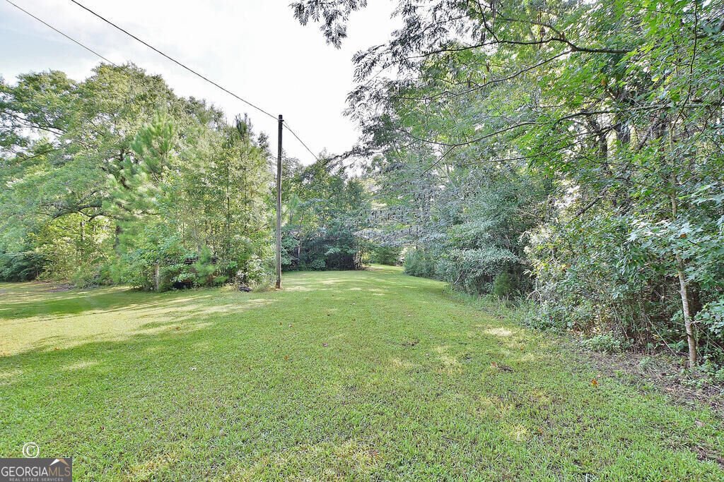 10216 Highway 0315 Cataula - Photo 23