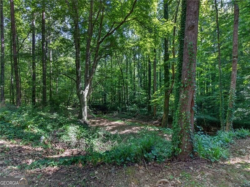 5215 Ferry Creek Lane Acworth - Photo 52