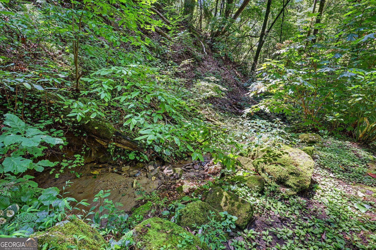75 Juniper Trail Clayton - Photo 47