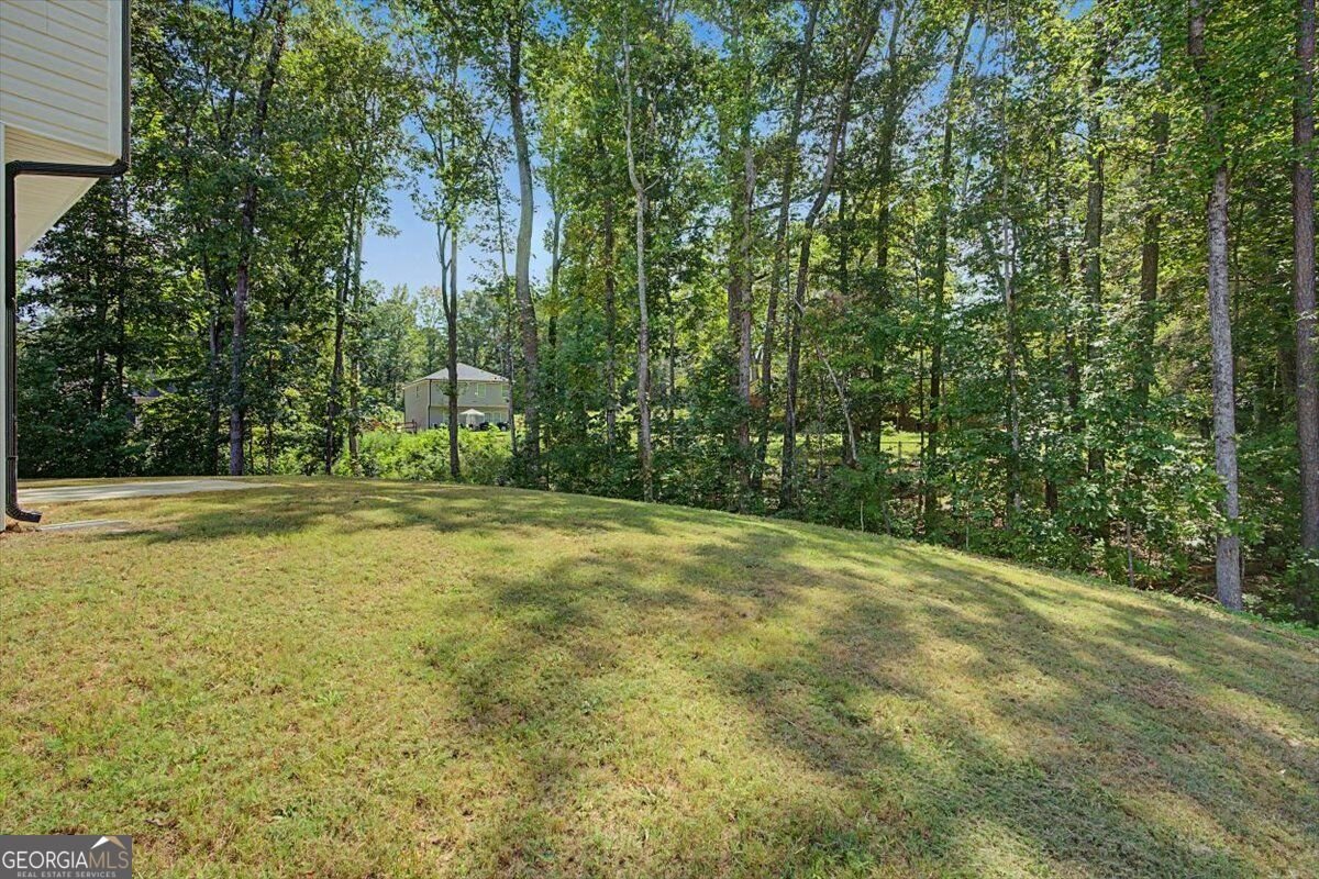 111 Woodside Court Temple - Photo 39