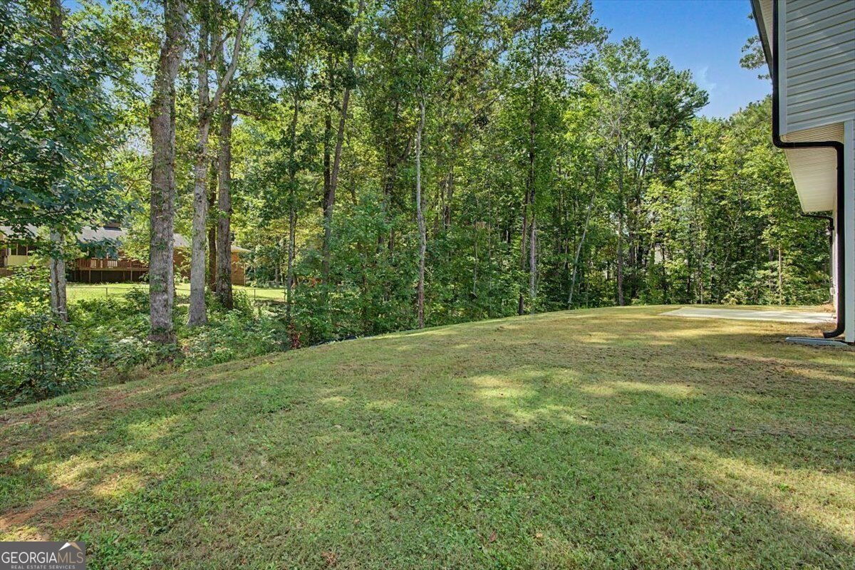 111 Woodside Court Temple - Photo 41