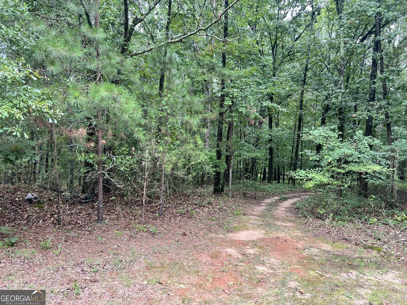 1383 Sims Road Winder - Photo 10