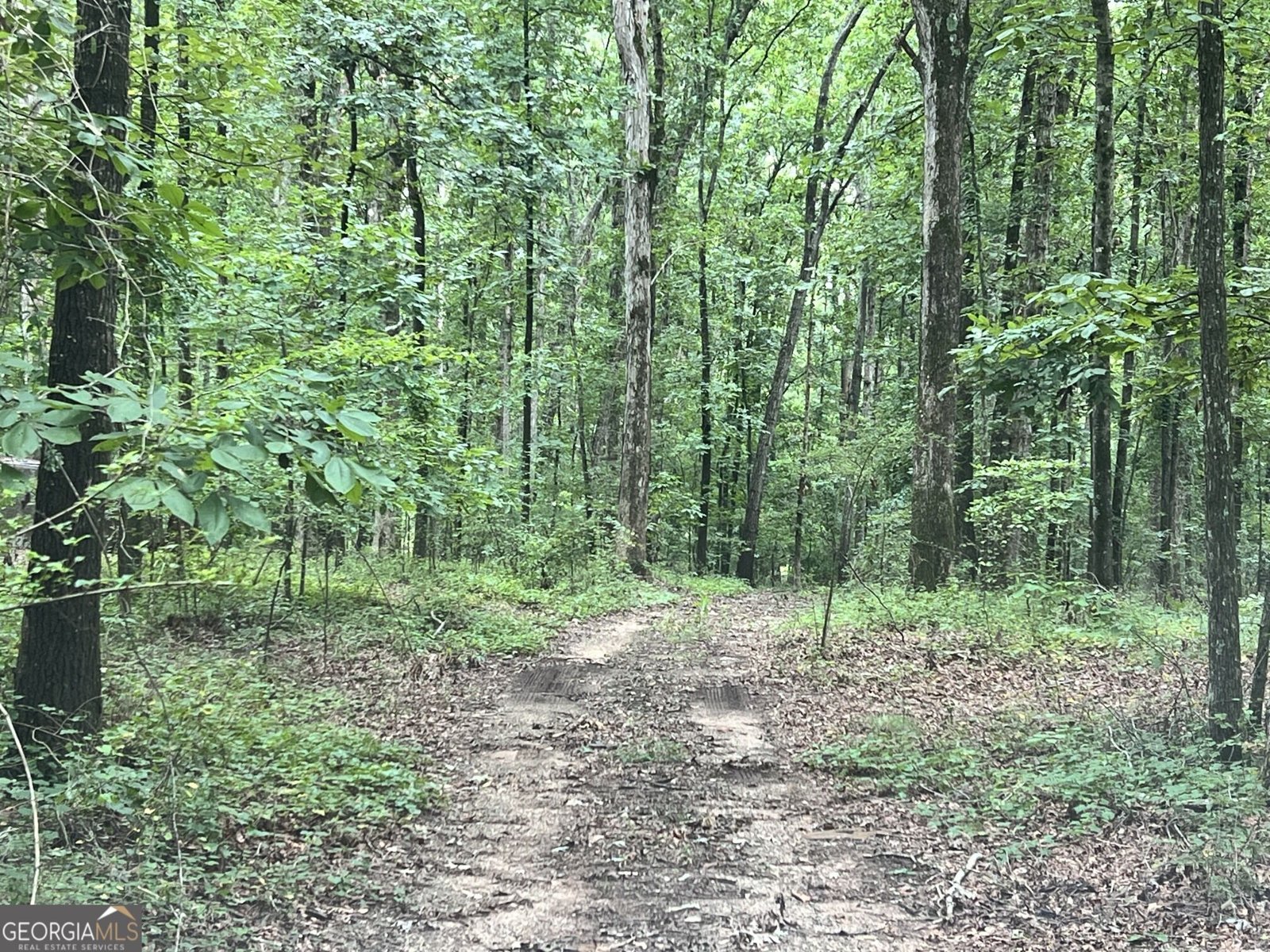 1383 Sims Road Winder - Photo 11