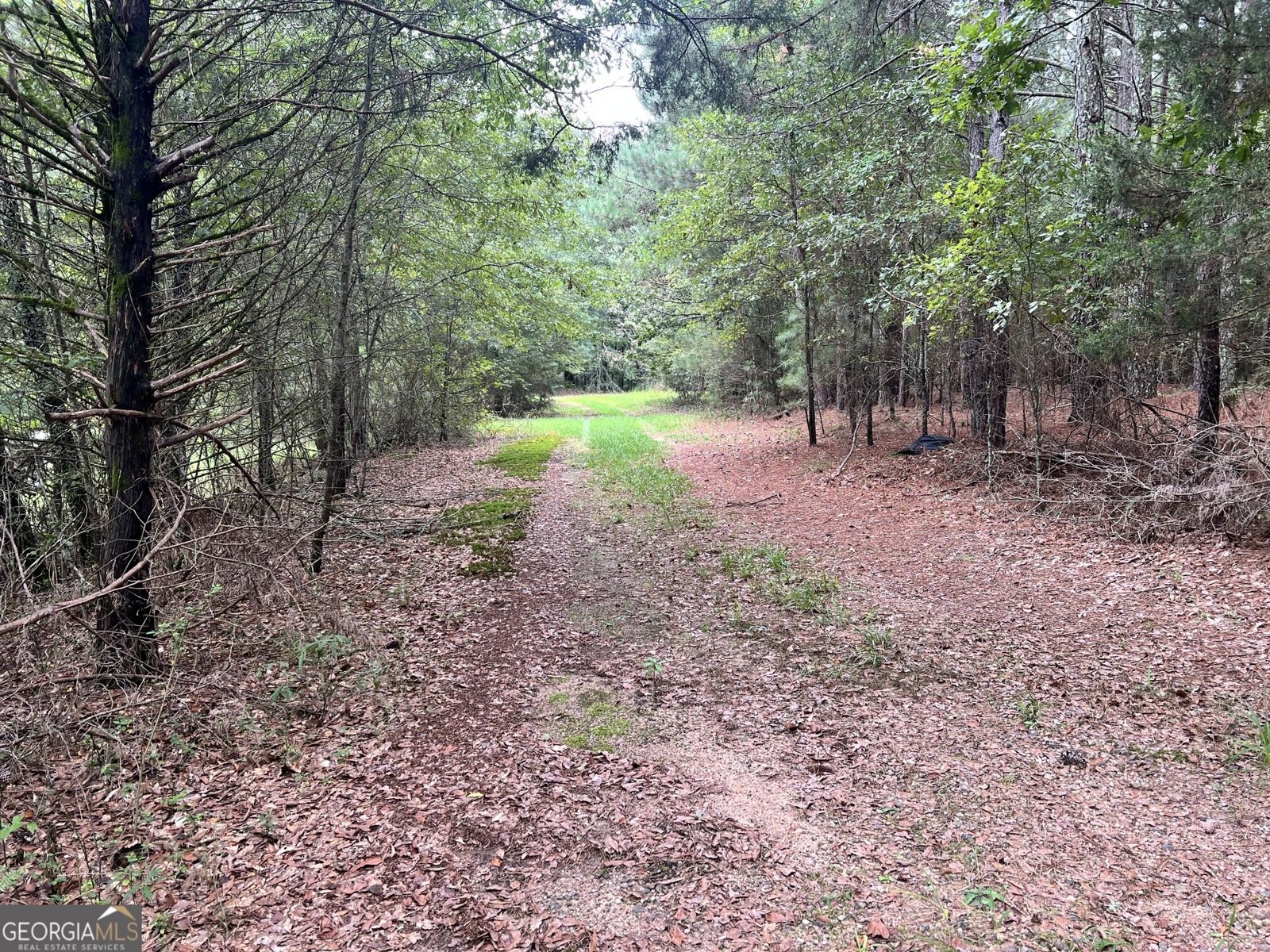 1383 Sims Road Winder - Photo 8