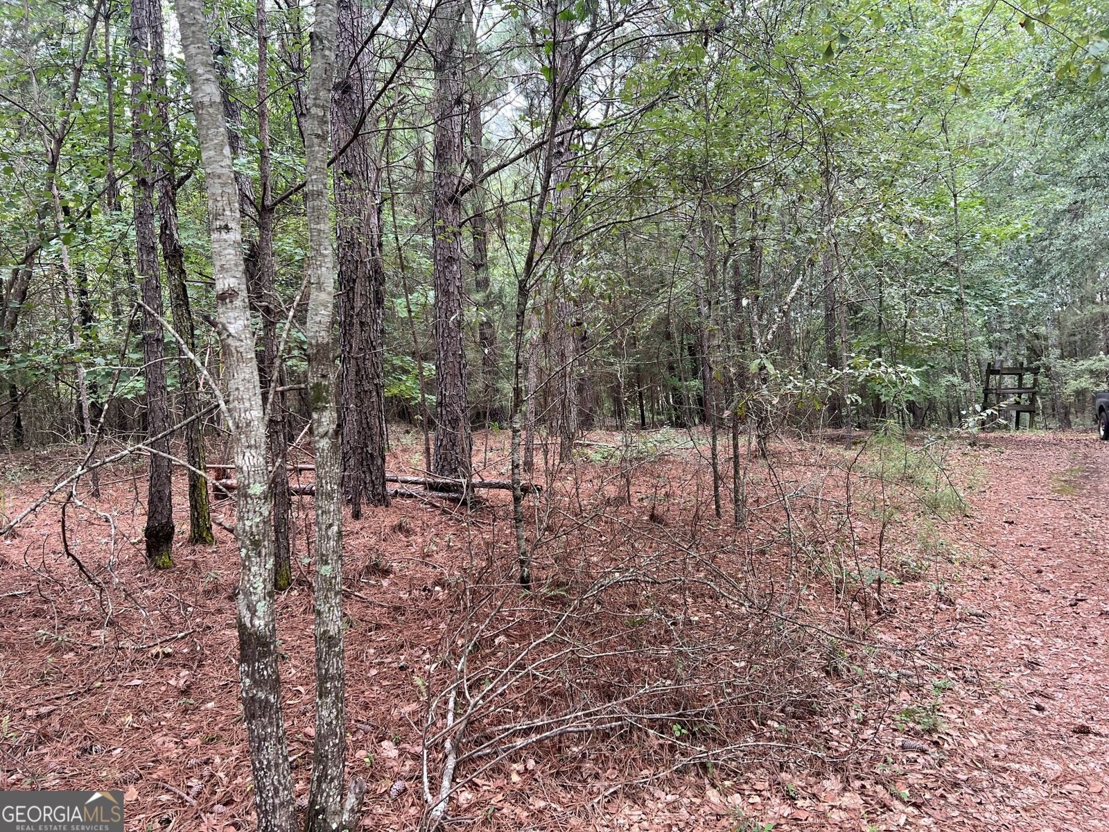 1383 Sims Road Winder - Photo 9