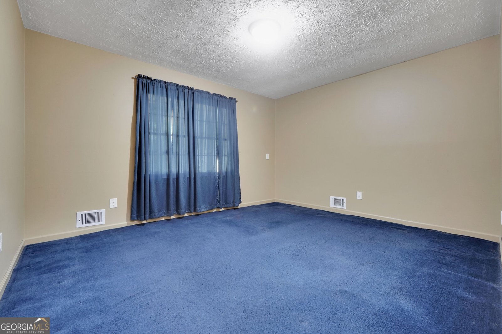 10 Melissa Drive Stockbridge - Photo 27