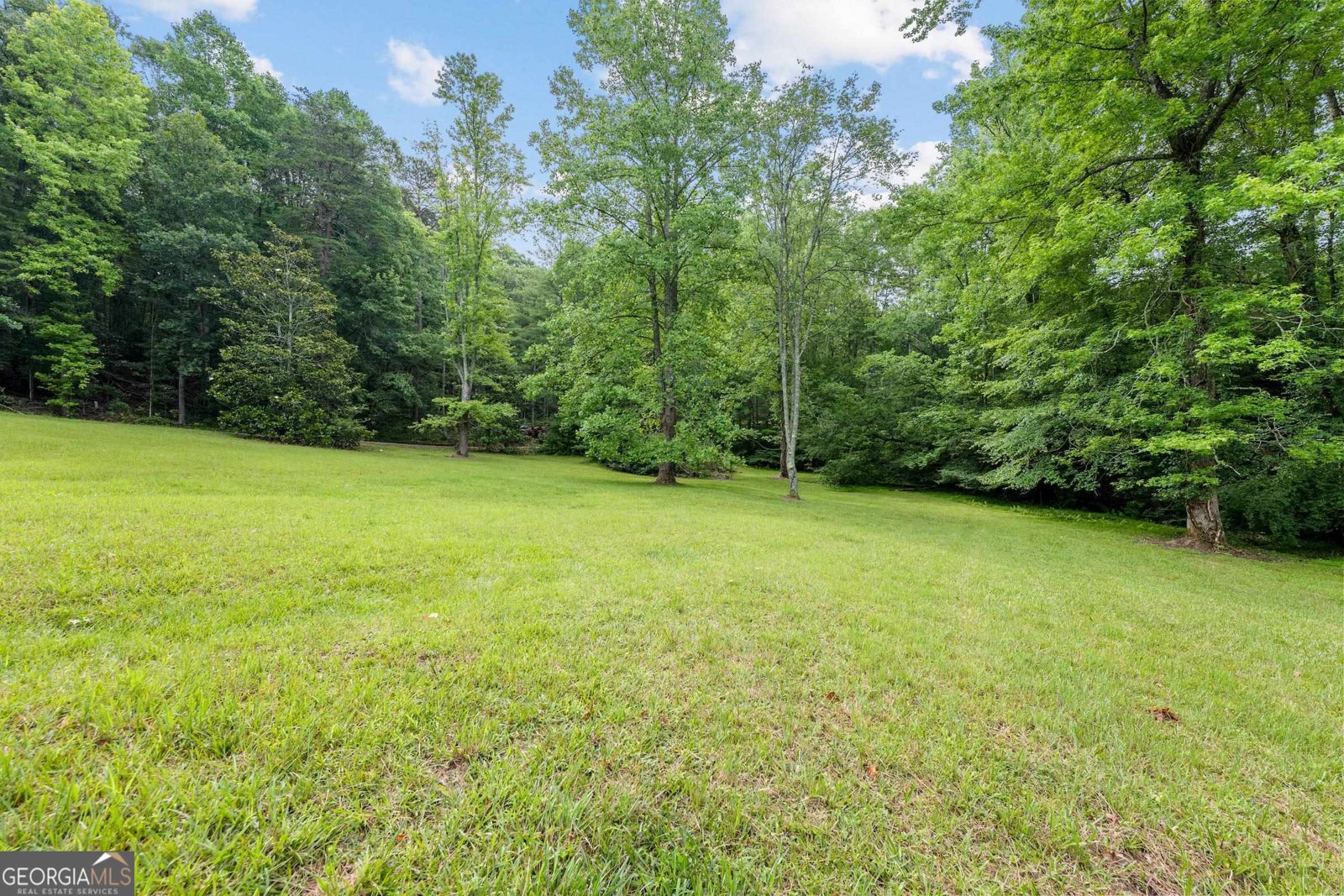 966 Wahoo Creek Road Murrayville - Photo 68