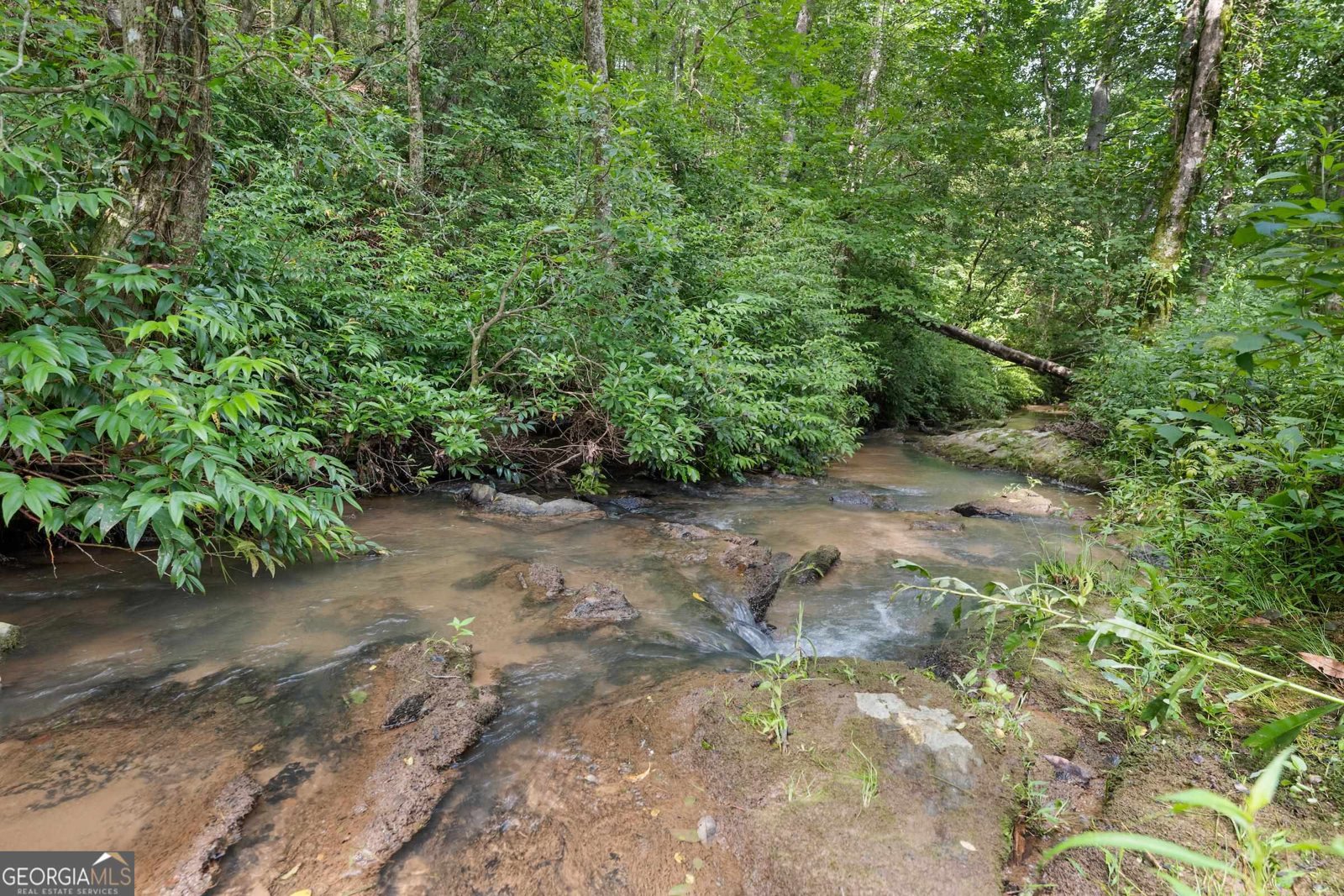 966 Wahoo Creek Road Murrayville - Photo 71
