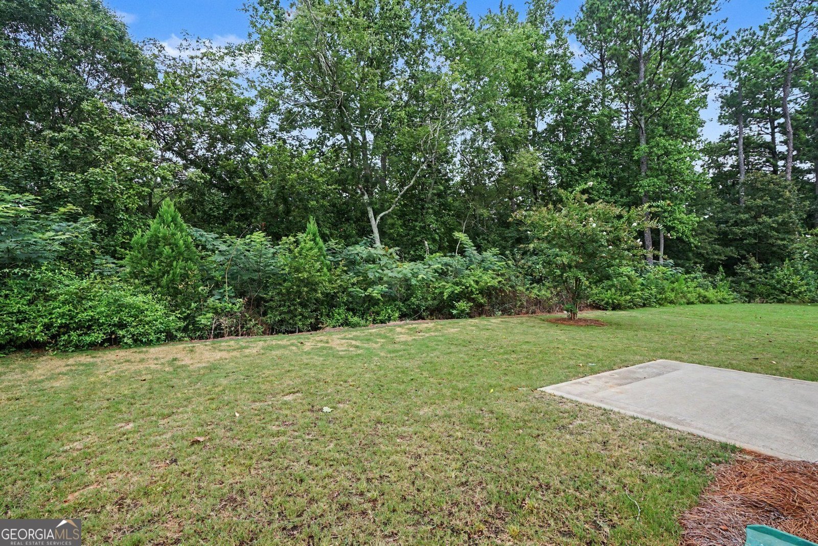59 Osprey Overlook Drive Braselton - Photo 20