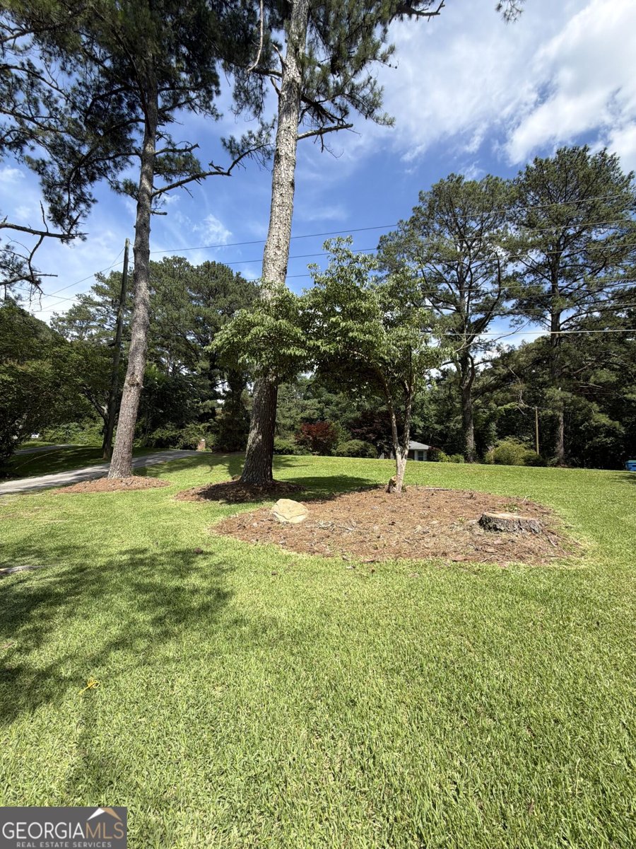 6450 Stubbs Road South Fulton - Photo 12