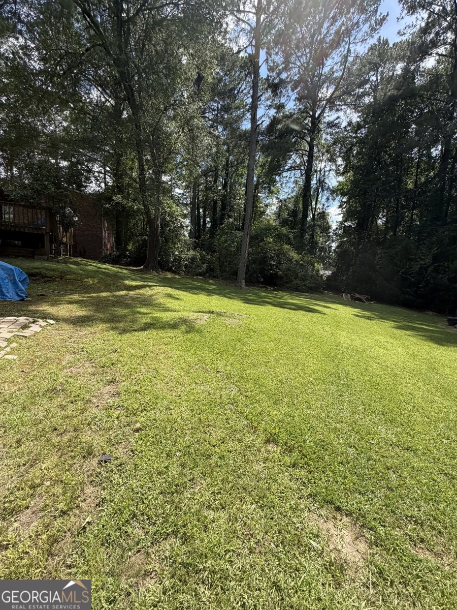 6450 Stubbs Road South Fulton - Photo 33