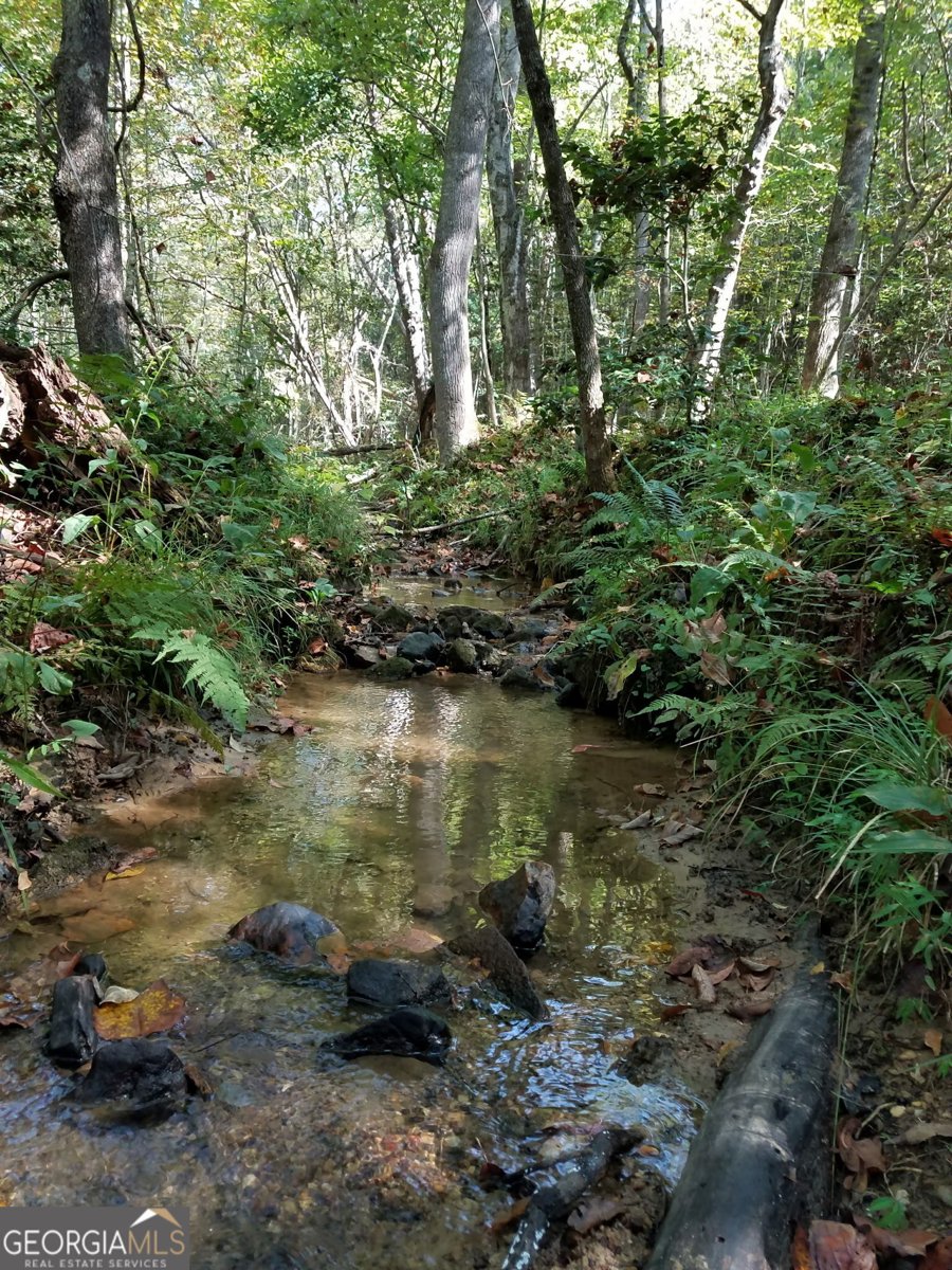 100 Ford Lane Morganton - Photo 36