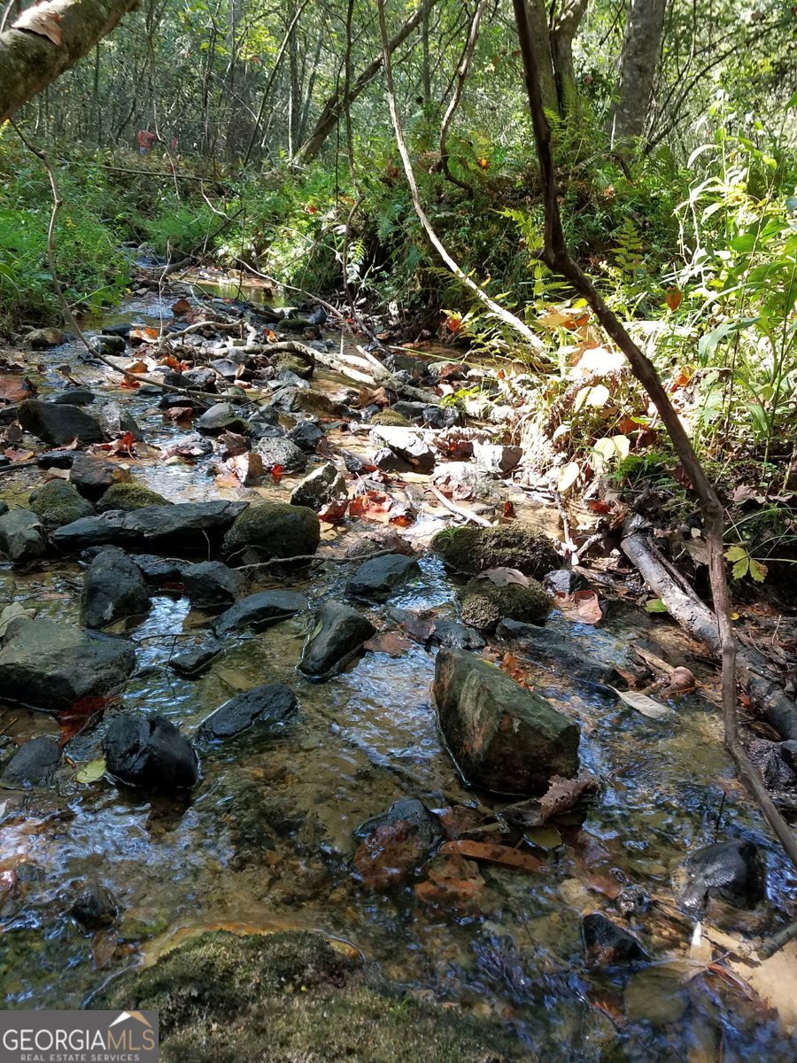 100 Ford Lane Morganton - Photo 37