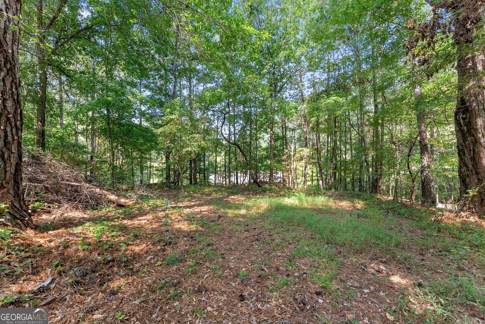 4444 Bos Way Loganville - Photo 40