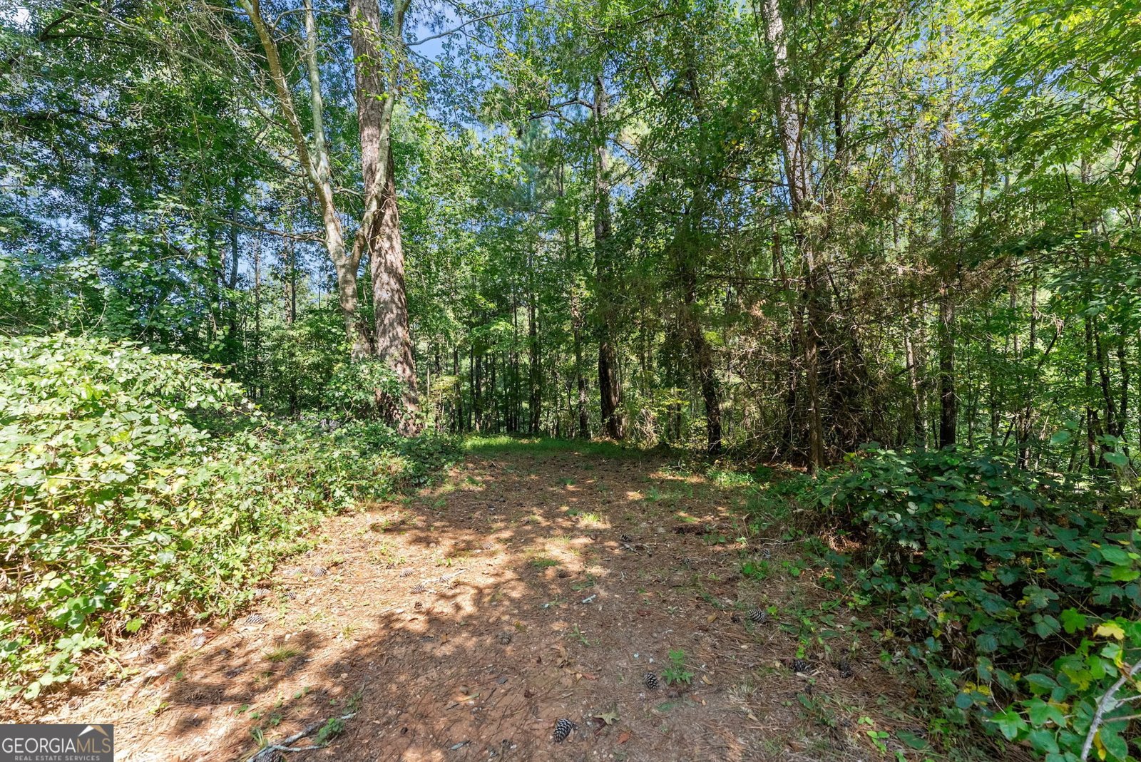 4444 Bos Way Loganville - Photo 41