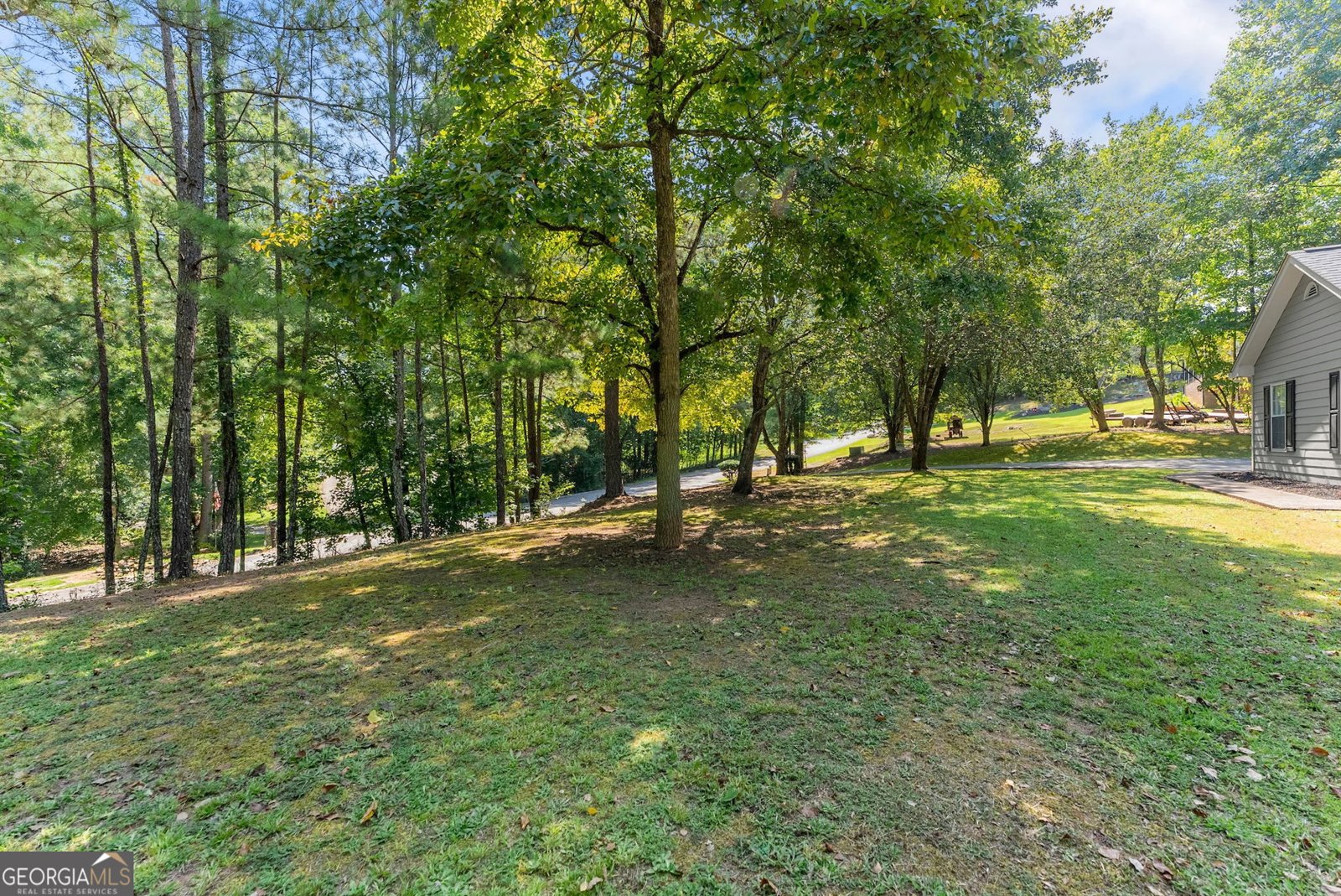 4444 Bos Way Loganville - Photo 48