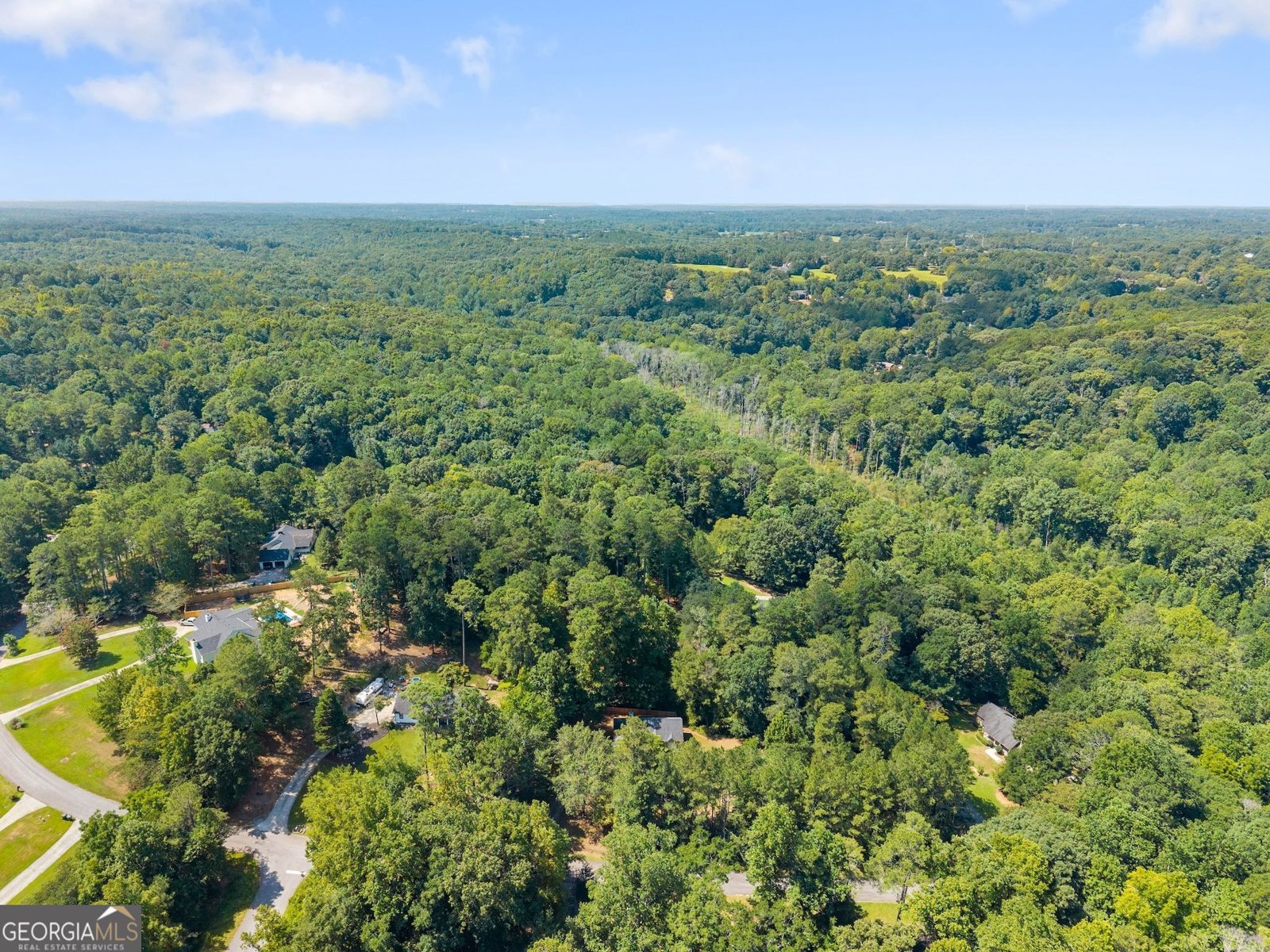 4444 Bos Way Loganville - Photo 51