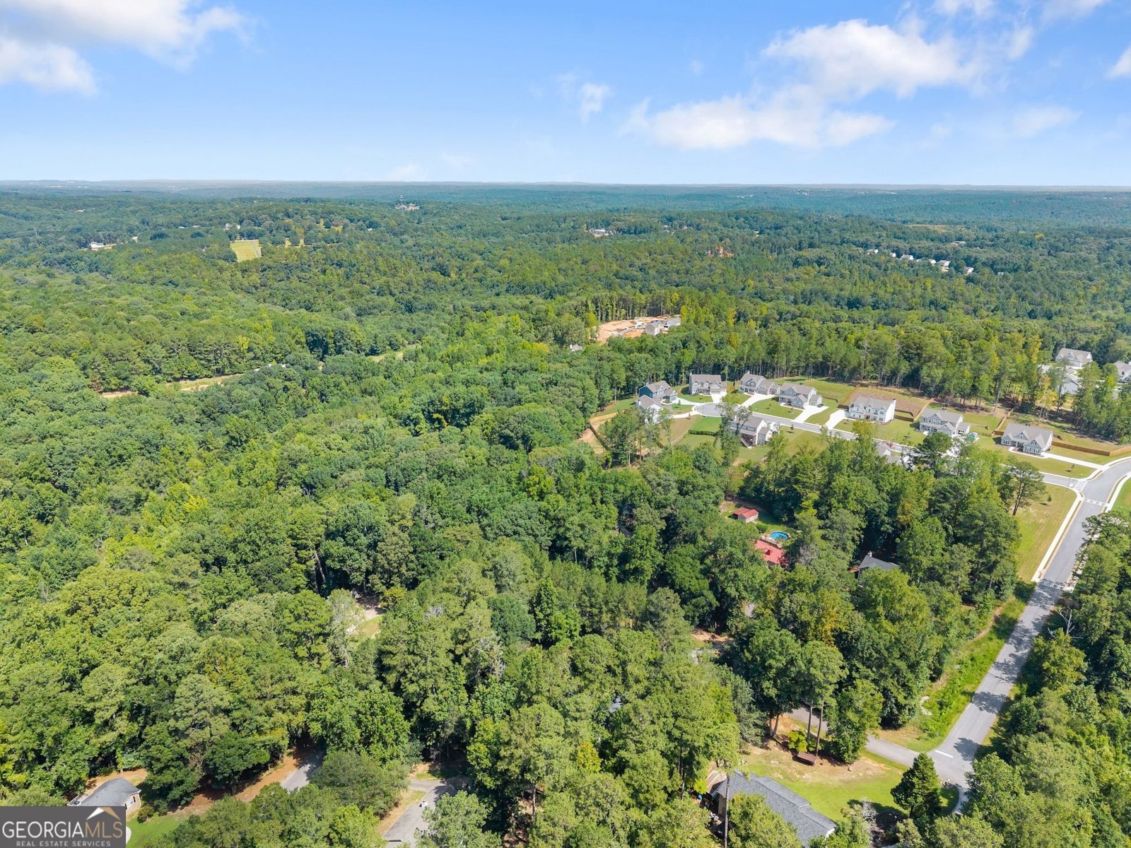 4444 Bos Way Loganville - Photo 57