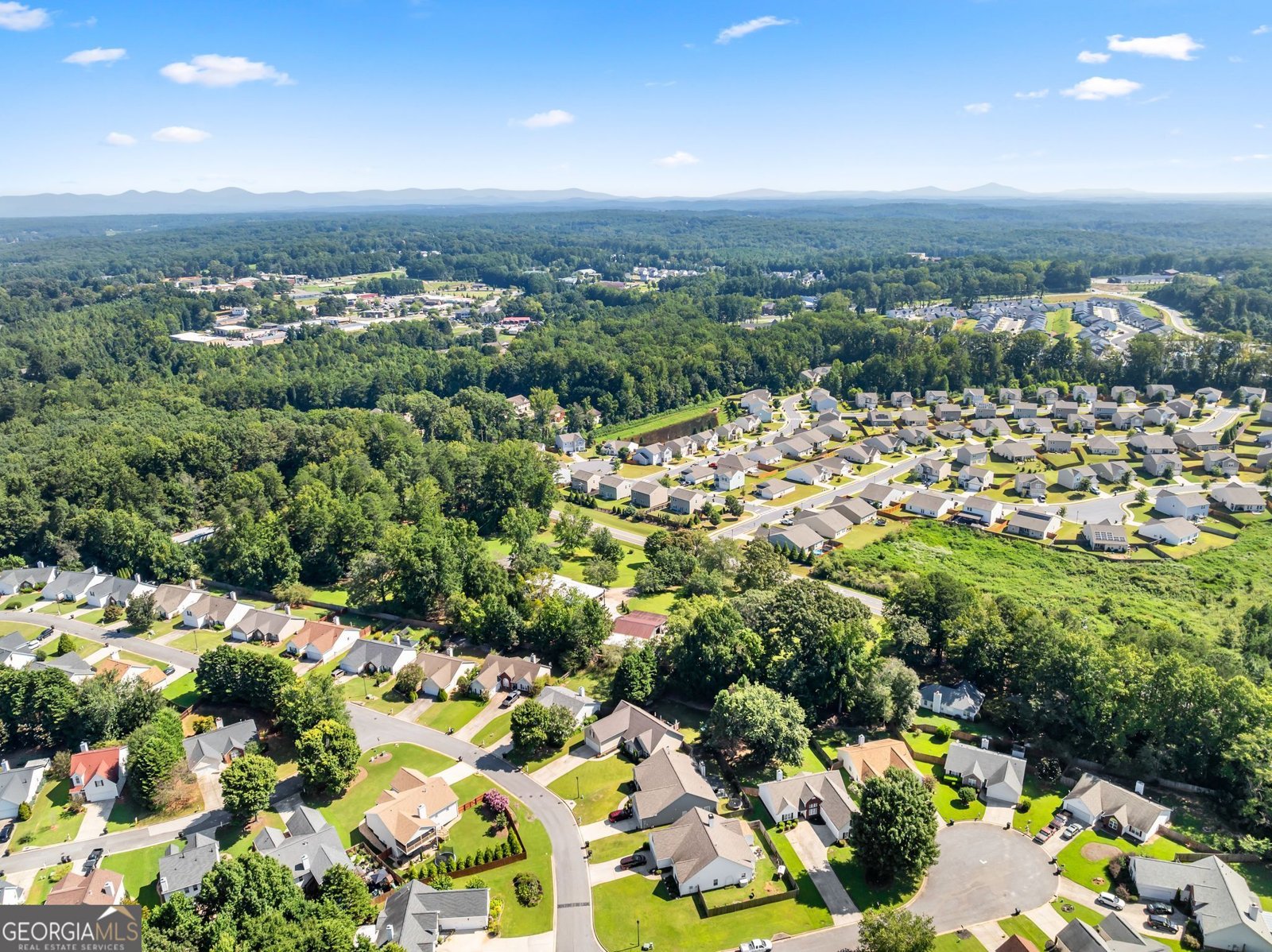 60 Burts Crossing Drrive Dawsonville - Photo 39
