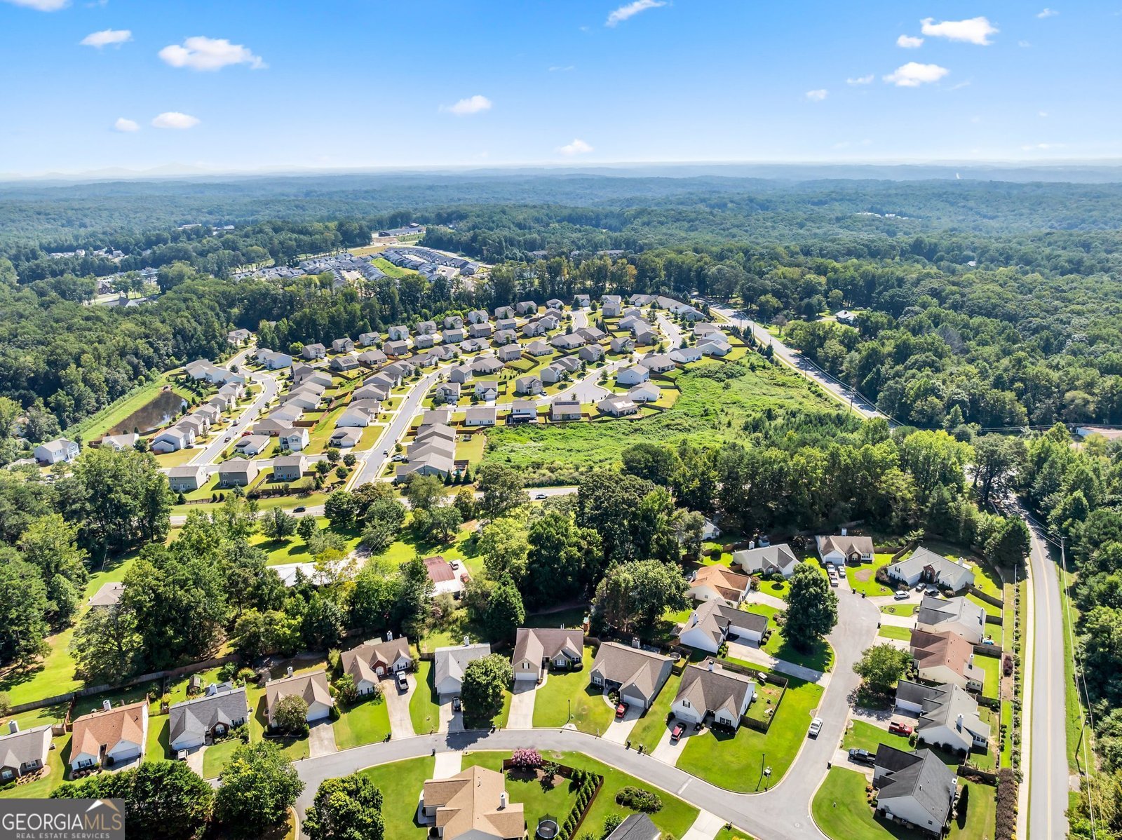 60 Burts Crossing Drrive Dawsonville - Photo 40