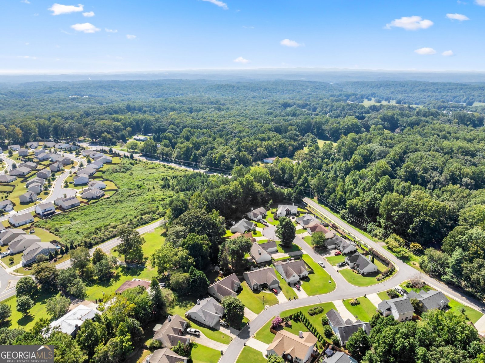 60 Burts Crossing Drrive Dawsonville - Photo 41