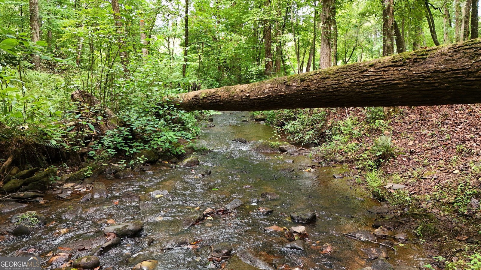 350 Foggy Creek Lane Clarkesville - Photo 123