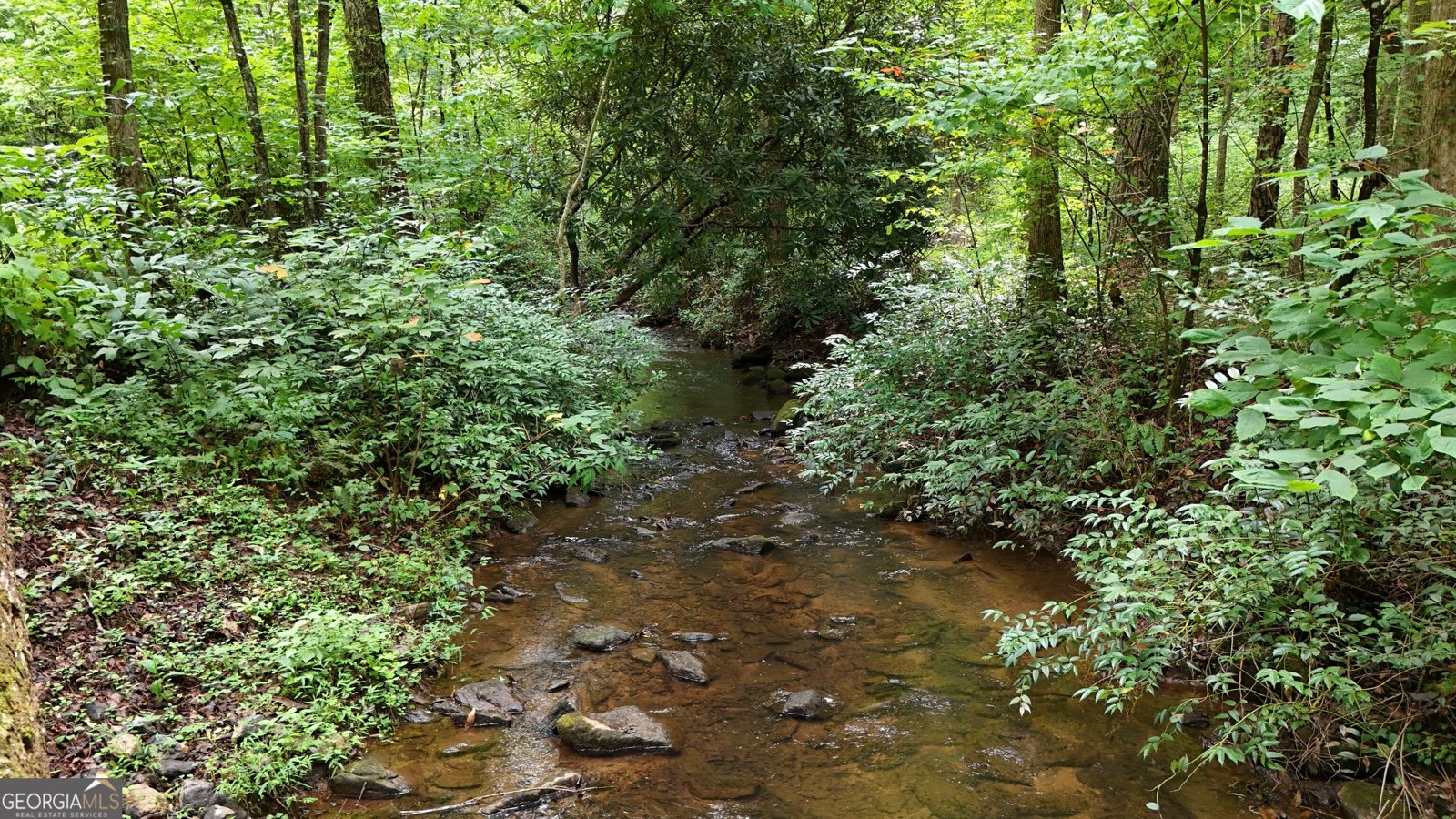 350 Foggy Creek Lane Clarkesville - Photo 126
