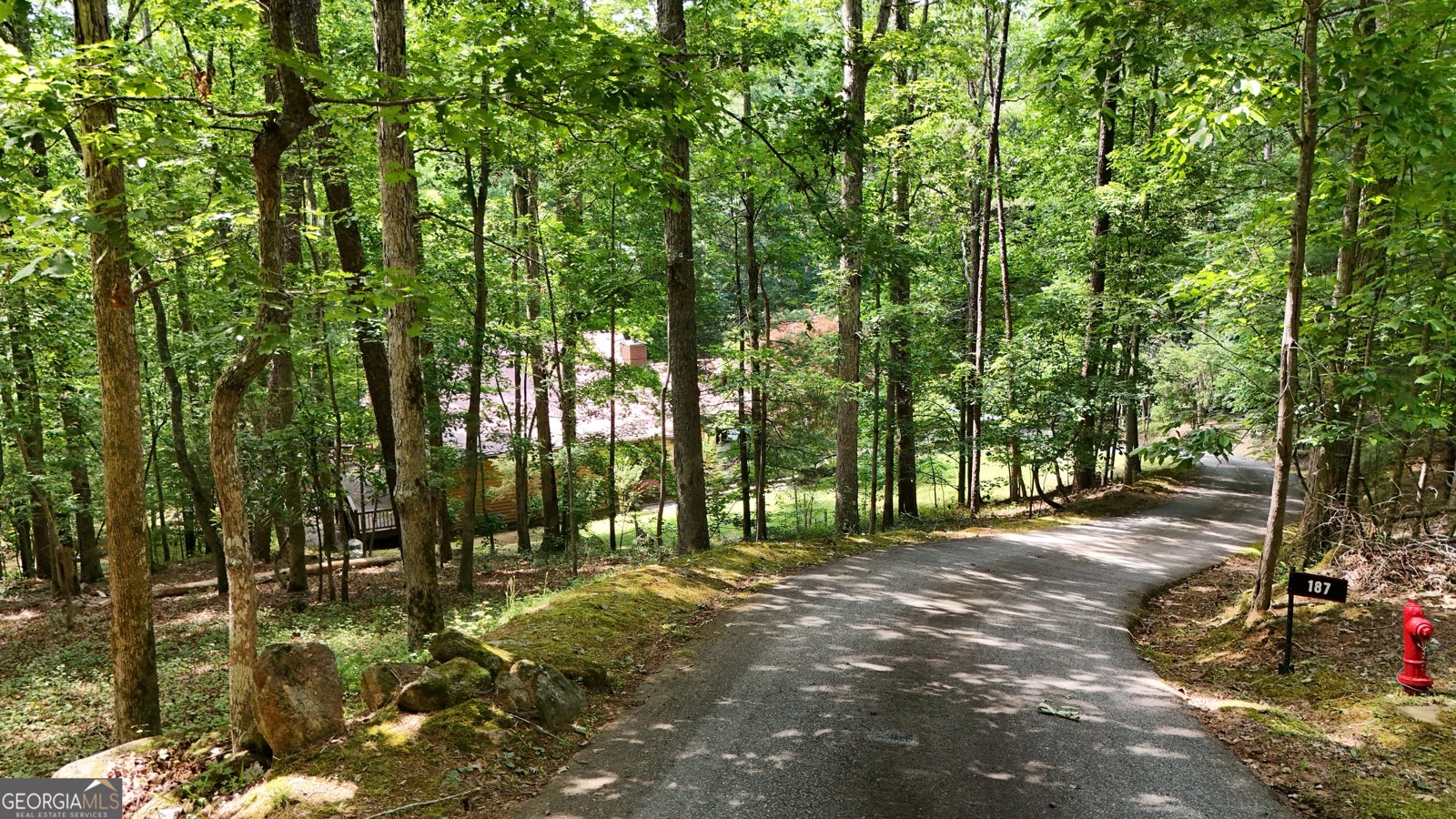 187 Still Water Way Demorest - Photo 59