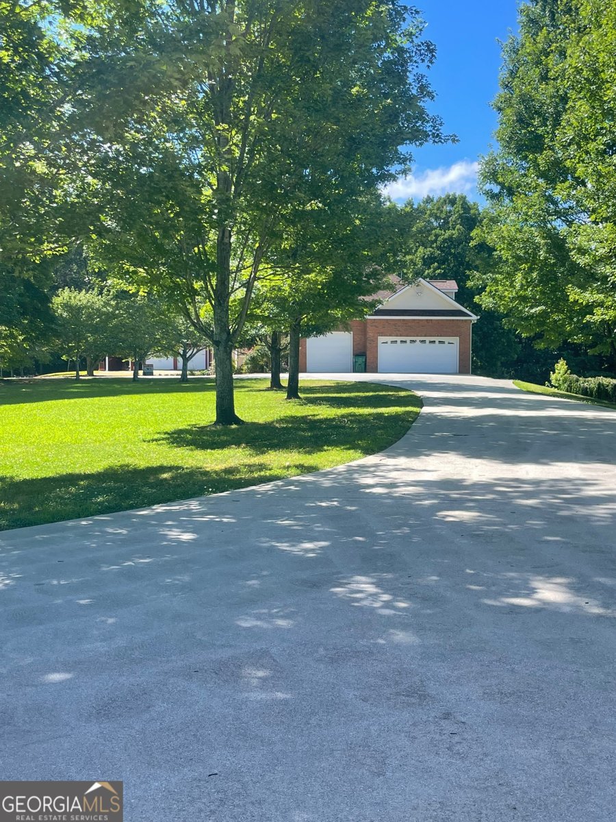 1545 Sam Bell Road Clarkesville - Photo 11