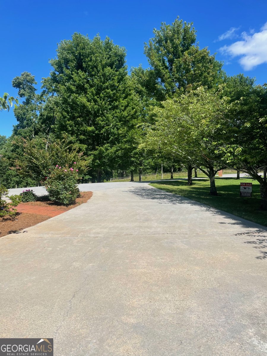 1545 Sam Bell Road Clarkesville - Photo 13