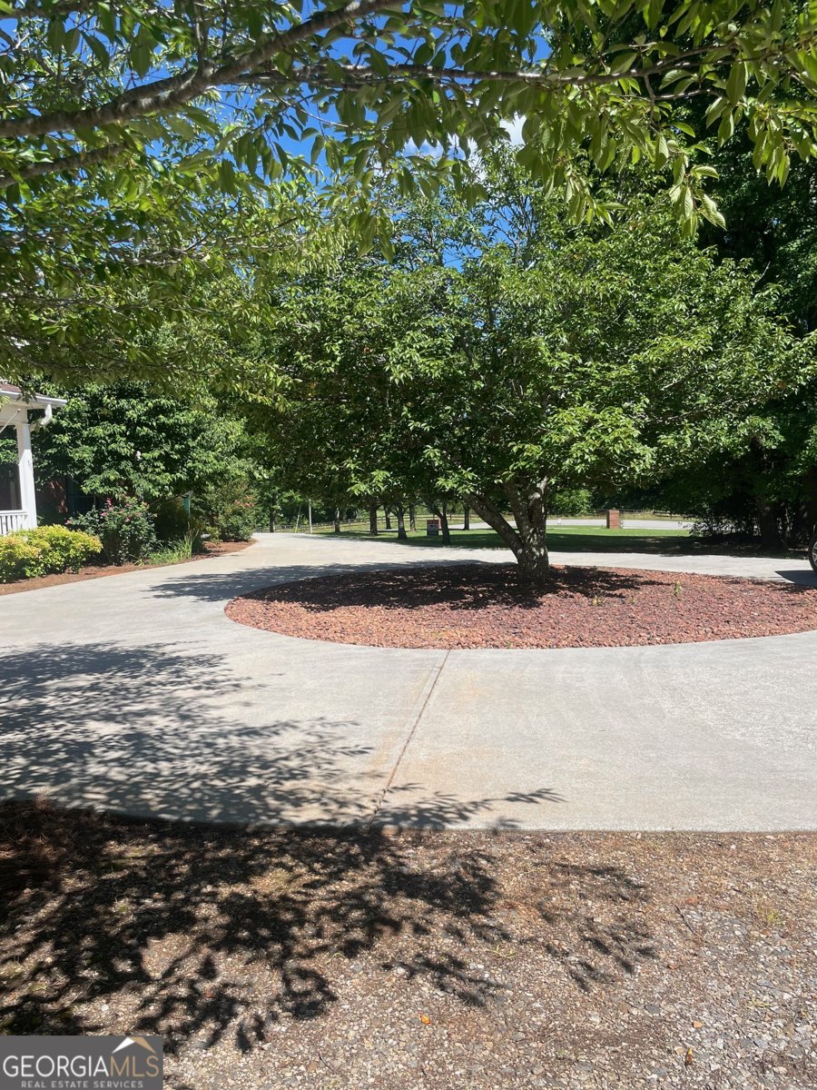 1545 Sam Bell Road Clarkesville - Photo 15