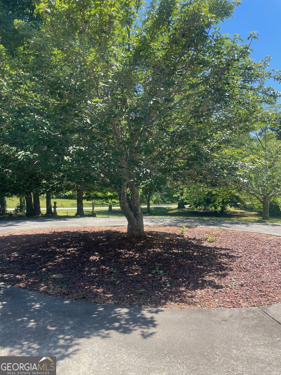 1545 Sam Bell Road Clarkesville - Photo 46