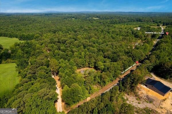 7824 Georgia Highway 100 Buchanan - Photo 42