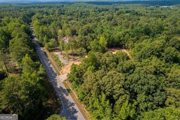 7824 Georgia Highway 100 Buchanan - Photo 43