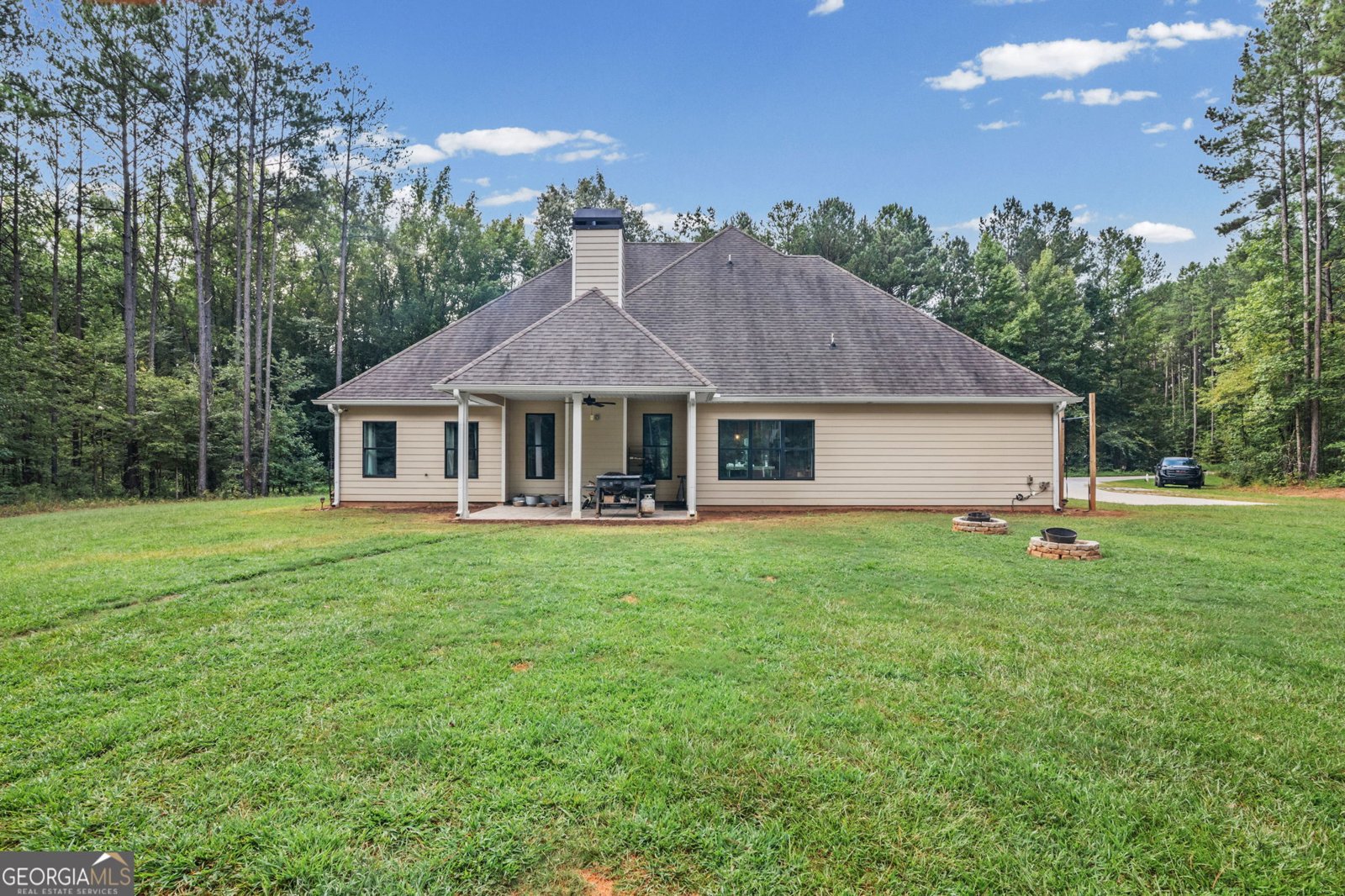 242 Roberts Pond Road Senoia - Photo 10