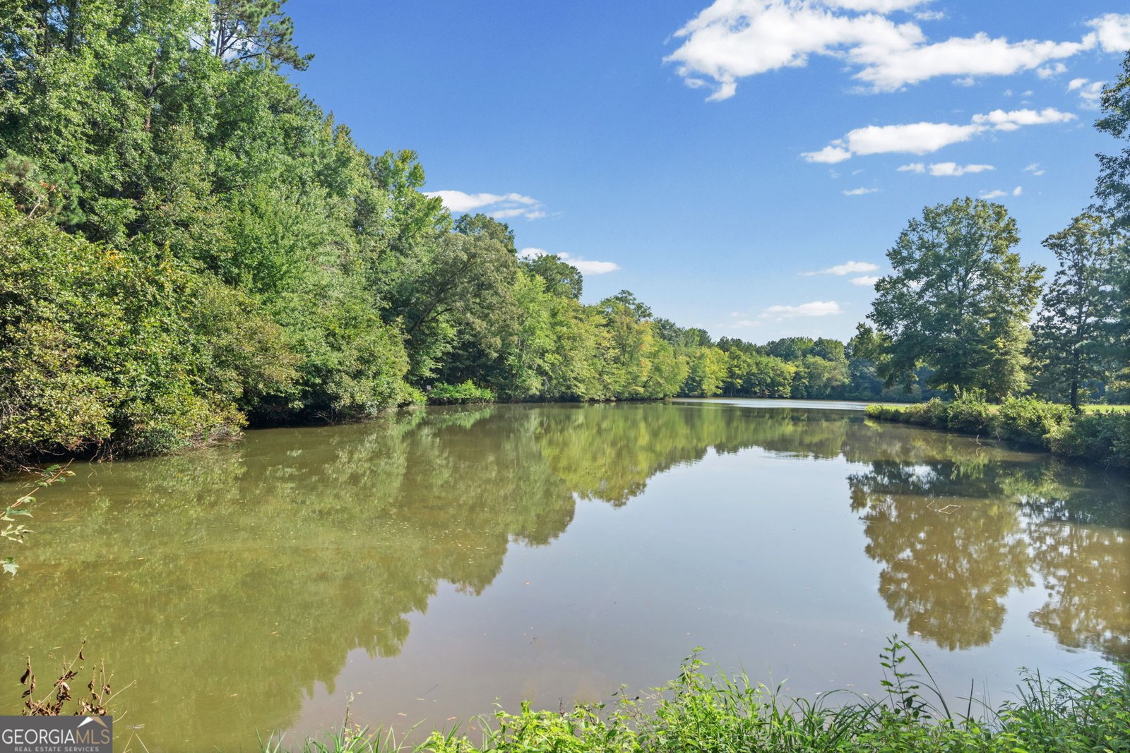 242 Roberts Pond Road Senoia - Photo 11