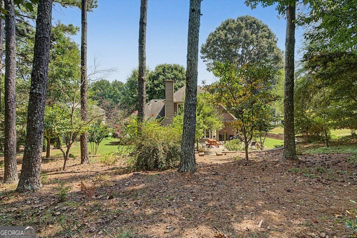 706 Chanson Drive Marietta - Photo 53
