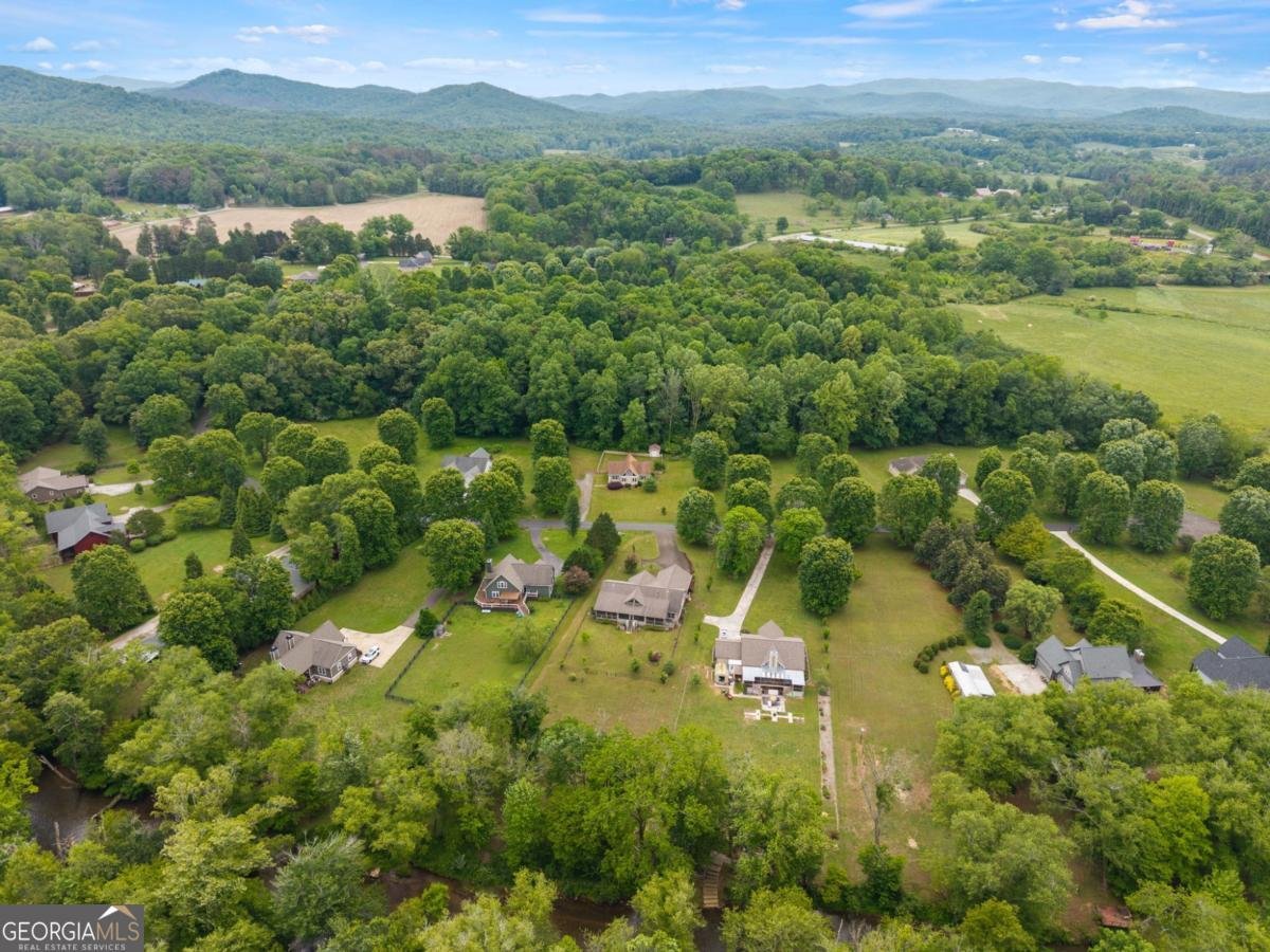 315 Cartecay River Run Ellijay - Photo 43